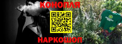 СК Обь