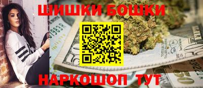 индика Обнинск