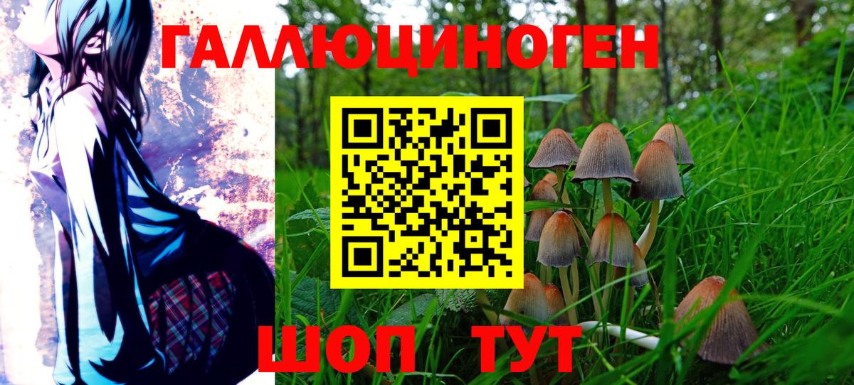 Галлюциногенные грибы ЛСД  Вход с VPN  Подольск 