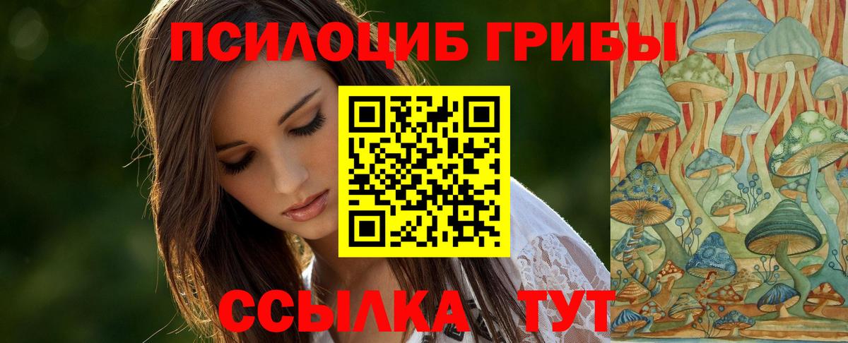 Галлюциногенные грибы Magic Shrooms Подольск